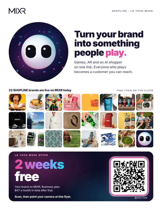 The MIXR flyer